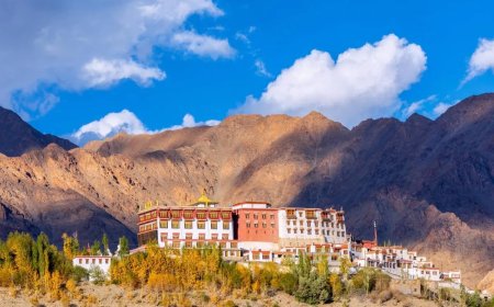 Phyang Monastery: A Spiritual Journey into the Heart of Ladakh