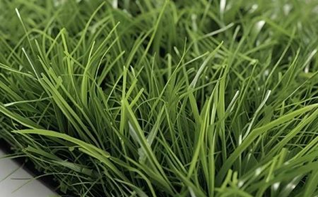 Great American Green Expands Its Reach with High-Quality Fake Grass in Sandy Springs, GA