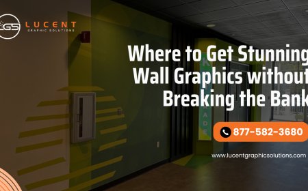 Where to Get Stunning Wall Graphics Without Breaking the Bank