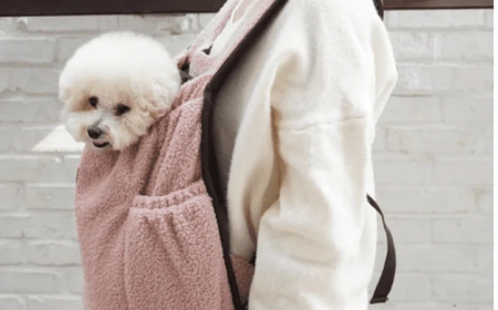 Why Every Pet Owner in the UK Needs a Quality Canine Bag