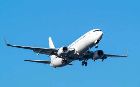 Flights from Billings to Las Vegas