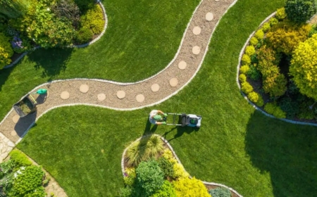 Why Landscaping Matters: Boosting Aesthetic and Value for Commercial Properties