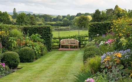 How Long Does a Garden Design Project Take in Bristol