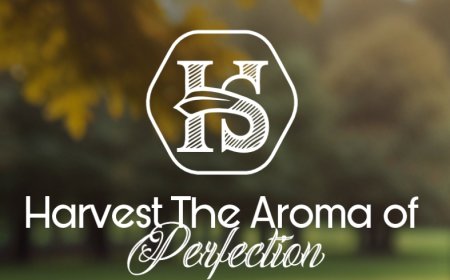 Cool Blue Davidoff: The Timeless Fresh Scent for Men