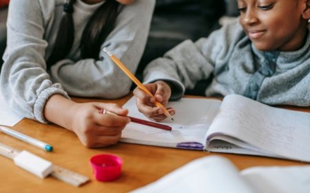 Assessment Help UK: What You Need to Know
