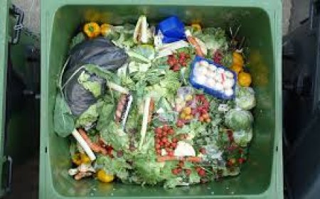 Zero-waste grocery shopping apps created by a mobile app development company in the UK