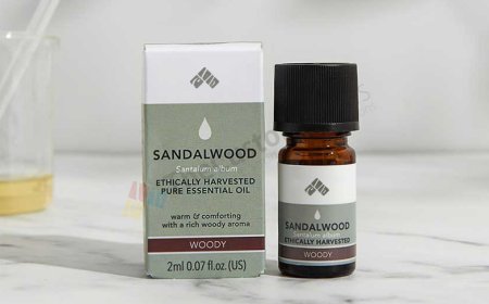 Sustainable Essential Oil Boxes Eco-Friendly Options For Modern Brands