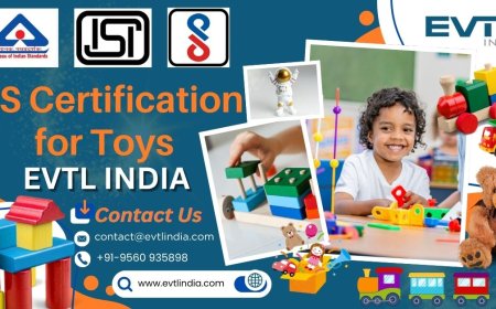 Your Guide to Choosing the Right BIS Consultant for Toys