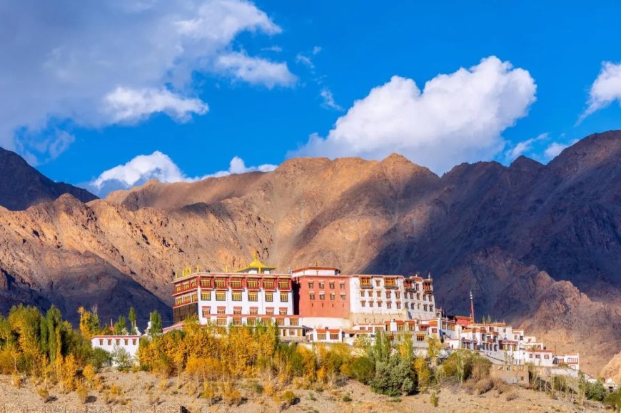 Phyang Monastery: A Spiritual Journey into the Heart of Ladakh