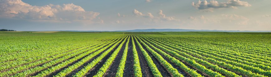 Here are the things that can be turned into a compost