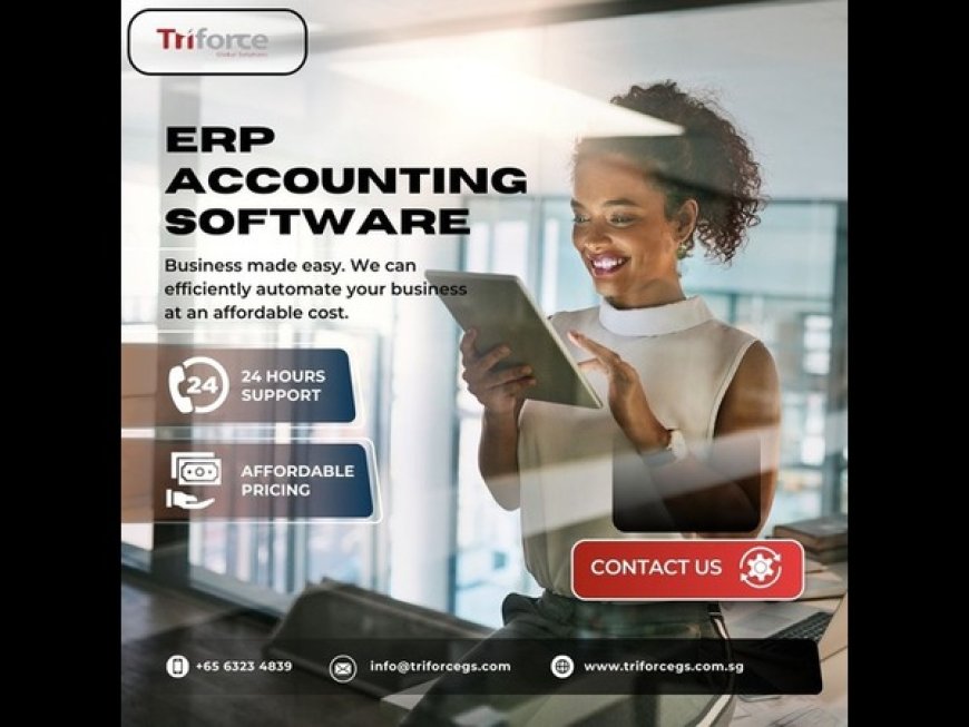 How ERP Accounting Software and Business System Implementation Can Transform Your Company