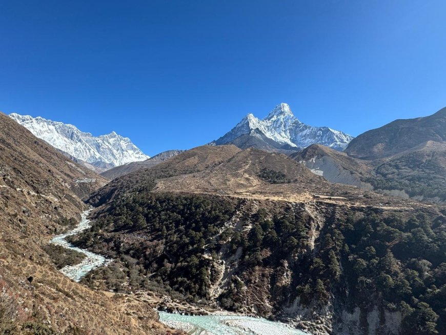 How to Get Your TIMS Card and Sagarmatha National Park Permit Easily