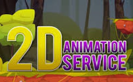 From Idea to Impact: What a Custom 2D Animation Service Can Do for You
