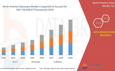 North America Glassware Market Flourishes Amid Premium Drinkware Trends and Scientific Usage