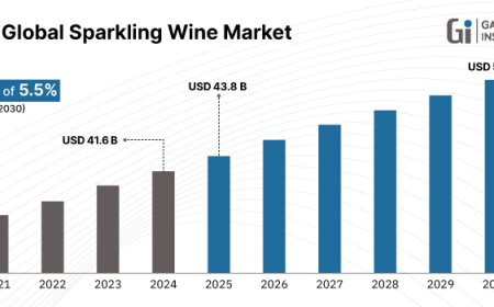 Glass Bottles Dominate 2024 Sparkling Wine Packaging Market