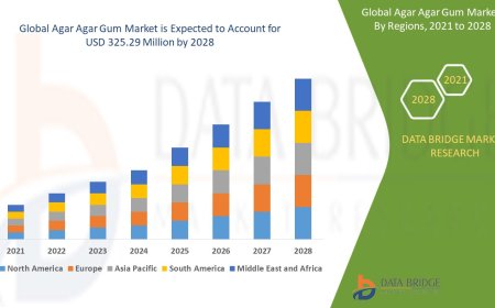 Agar Agar Gum Market Grows with Increasing Use in Food, Pharmaceuticals, and Biotechnology