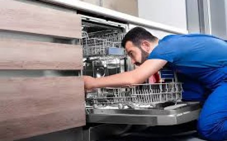 Get Fast Dishwasher Repairs in Abu Dhabi So That No More Piles of Dirty Dishes