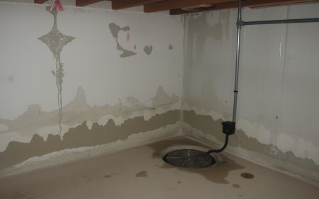 How to Spot Water Ingress Before It Damages Your Basement