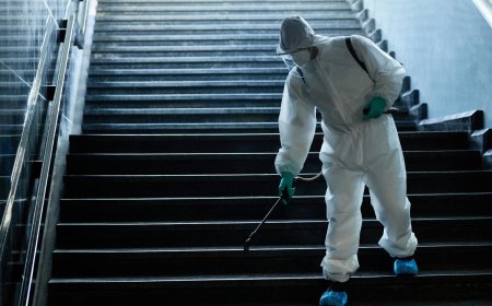 How Carpet Cleaning and Pest Control Work Together for Better Results