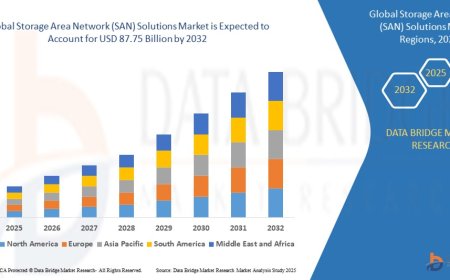 Storage Area Network (SAN) Solutions Market: Trends and Growth Opportunities