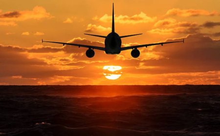 What You Need to Know About the Frontier Airlines Raleigh Office Address