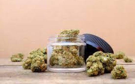 Best THCa Flower Online: Discover the Top Brands and Where to Buy in 2025
