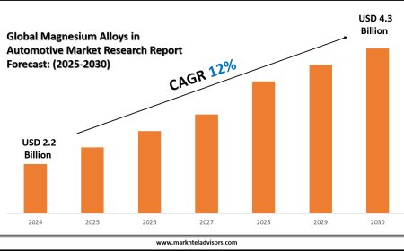 Magnesium Alloys in Automotive Market Overview with Growth Insights