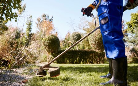 Expert Backyard Cleaning Services in Your Area