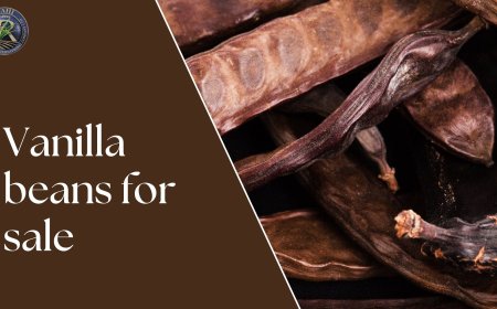 The Secret to Aromatic Desserts: Vanilla Beans for Sale at Royal Agri