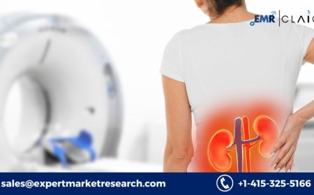 Chronic Lower Back Pain Treatment Market: Demand Forecast and Future Outlook (2034)