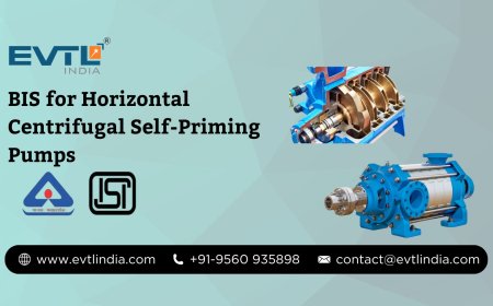 BIS for Horizontal Centrifugal Self-Priming Pumps – A Simple Guide