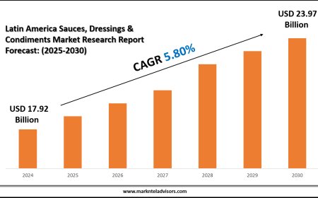 Latin America Sauces, Dressings & Condiments Market Overview with Growth Insights
