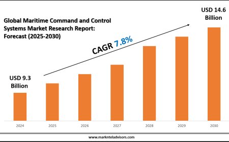 Maritime Command and Control Systems Market Overview with Growth Insights
