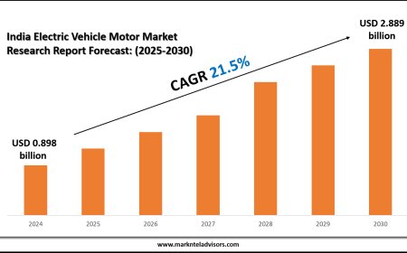 India Electric Vehicle Motor Market Overview with Growth Insights