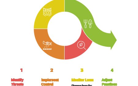 What Are Lawn Disease Control Services & Why You Need Them.