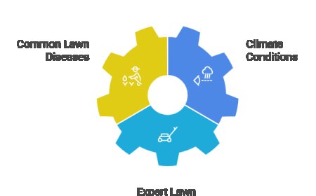 Top 10 Lawn Diseases & How Professionals Treat Them.