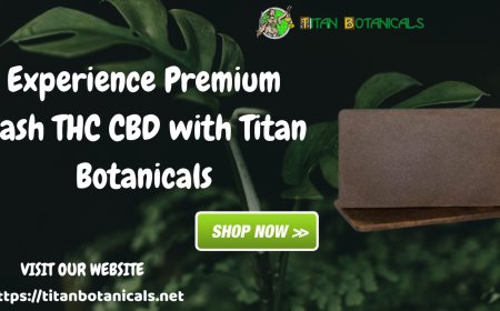 Experience Premium Hash THC CBD with Titan Botanicals