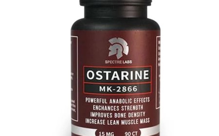 How to Recognize GMP-Certified Labs When Buying Testosterone Online