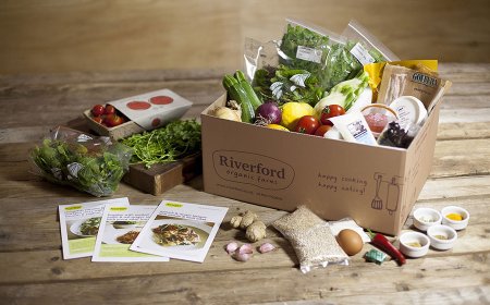 Food Boxes in Today's Food Industry