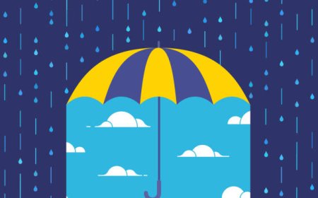 What to Expect from Professional Bellingham Roofing Contractors