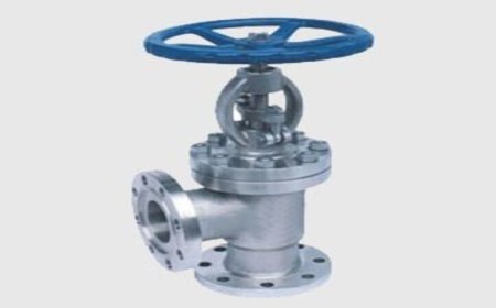 Angle Globe Valve Manufacturers in India
