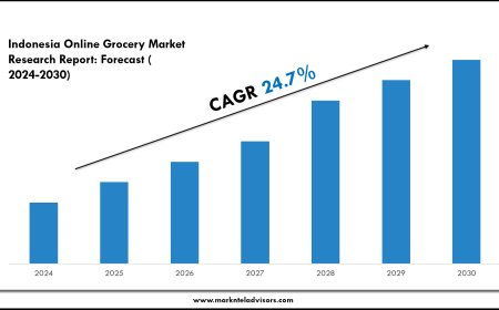 Indonesia Online Grocery Market Overview with Growth Insights