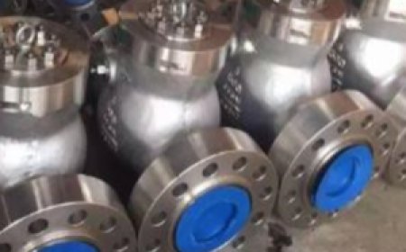 Swing check valve supplier in UAE