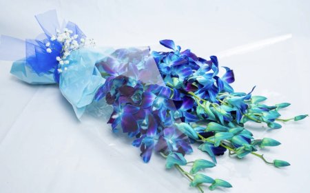 Flower Delivery Lalor: Make Every Moment Bloom with Fresh Florals