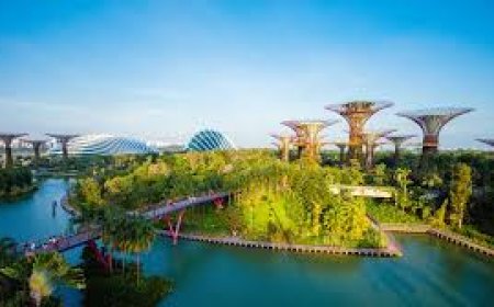 Why Choose a Travel Agency in Lahore? 10 Benefits You Didn't Know