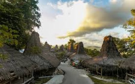 How to Pick the Right Travel and Tour Package for Your Next Trip?