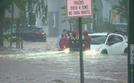 Understanding the True Cost of Flood Damage Repair