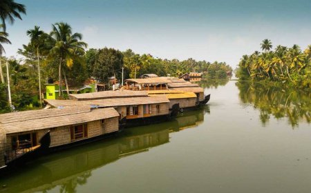 Tea-Time in Munnar: Exploring Kerala’s Verdant Plantations