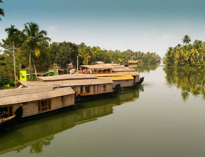 Tea-Time in Munnar: Exploring Kerala’s Verdant Plantations