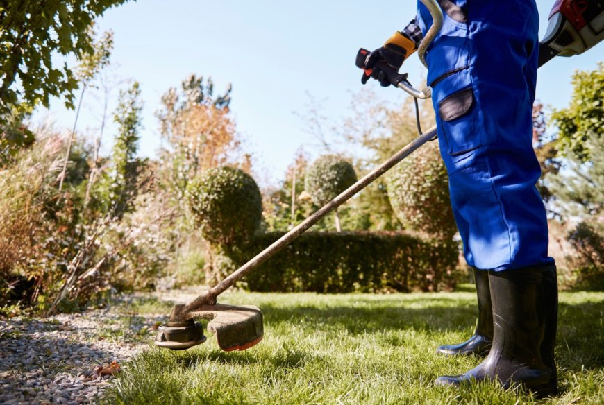 Expert Backyard Cleaning Services in Your Area